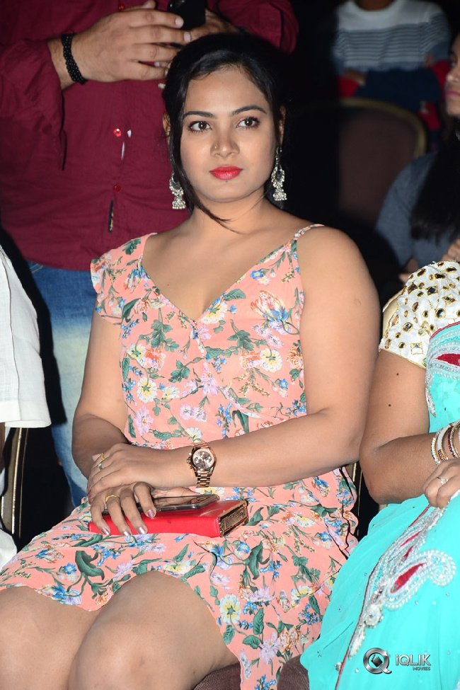 Lovers-Day-Movie-Audio-Launch-Photos